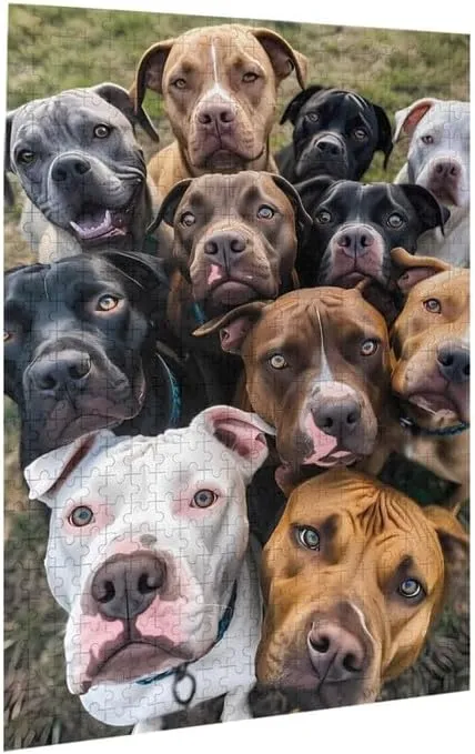-Animal Wooden Puzzle - Puzzles for Youth Children Home Decor Funny Game Best Gift Preschool Toys Pitbull Family Jigsaw Puzzles 1000 salon Pieces for Adults - Pitbulls Lovers Cute Dogs 
