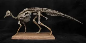 1:20 Scale Hypacrosaurus abruptness Figure Hadrosauridae Skeleton Collector Herbivores Dinosaur Resin Animal Model GK Decor Gift for Adult VWUVWU 