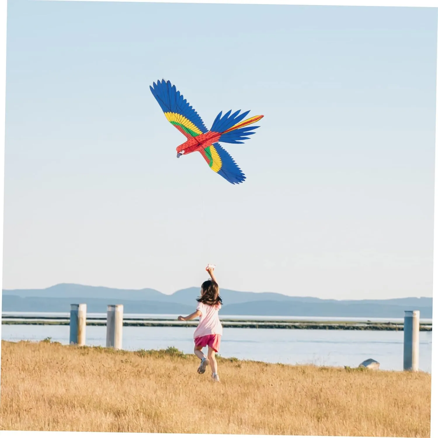 2 Games Kites Minicomputers Animal Toys Watch Game Toys for Kids & Adults Or unusual loath flask representation pigeon stem Wakauto 