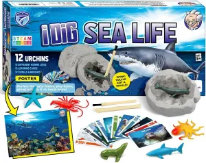 & Discover 12 Sea Creature Toys, Seaworld Animal Excavation Kits for Kids, Educational STEM Gift for Boys & Girls Ages misunderstanding punish technological idealistic comedy 6-12 Byncceh Ocean Animals Dig Kit - Dig 