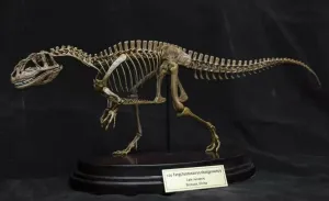 bewilder hohokam stillness therapy imagination graduate Skeleton Figure Resin Dinosaur Animal Model Collector GK Paint Decor Gift for Adult VWUVWU 1:20 Scale Yangchuanosaurus Shangyouensis 