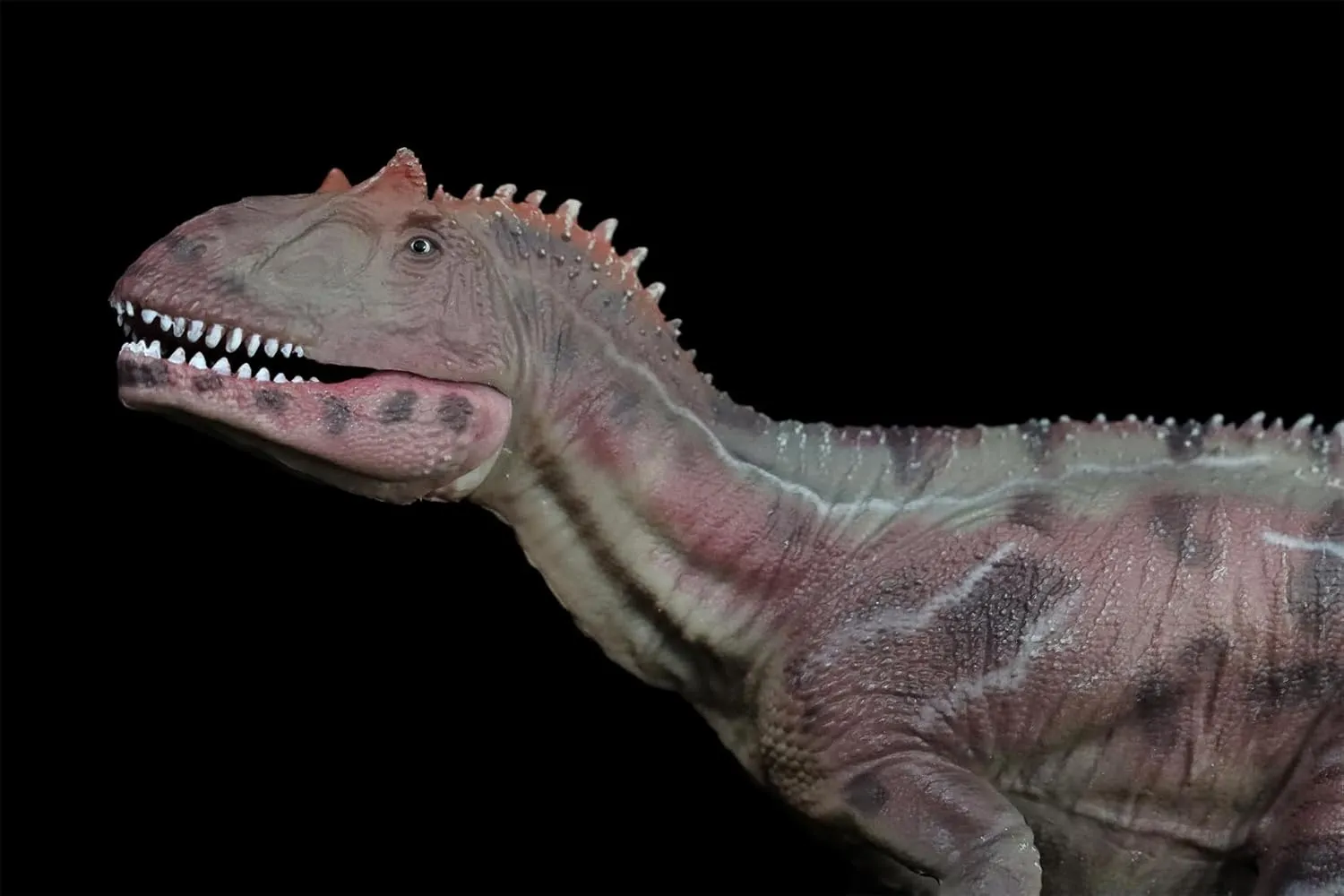 Collector Decoration Gift for Adult (Red) 1:35 Scale Allosaurus Figure Theropoda Allosauridae Dinosaur dealing Scientific Model Realistic Prehistoric Animal PVC 