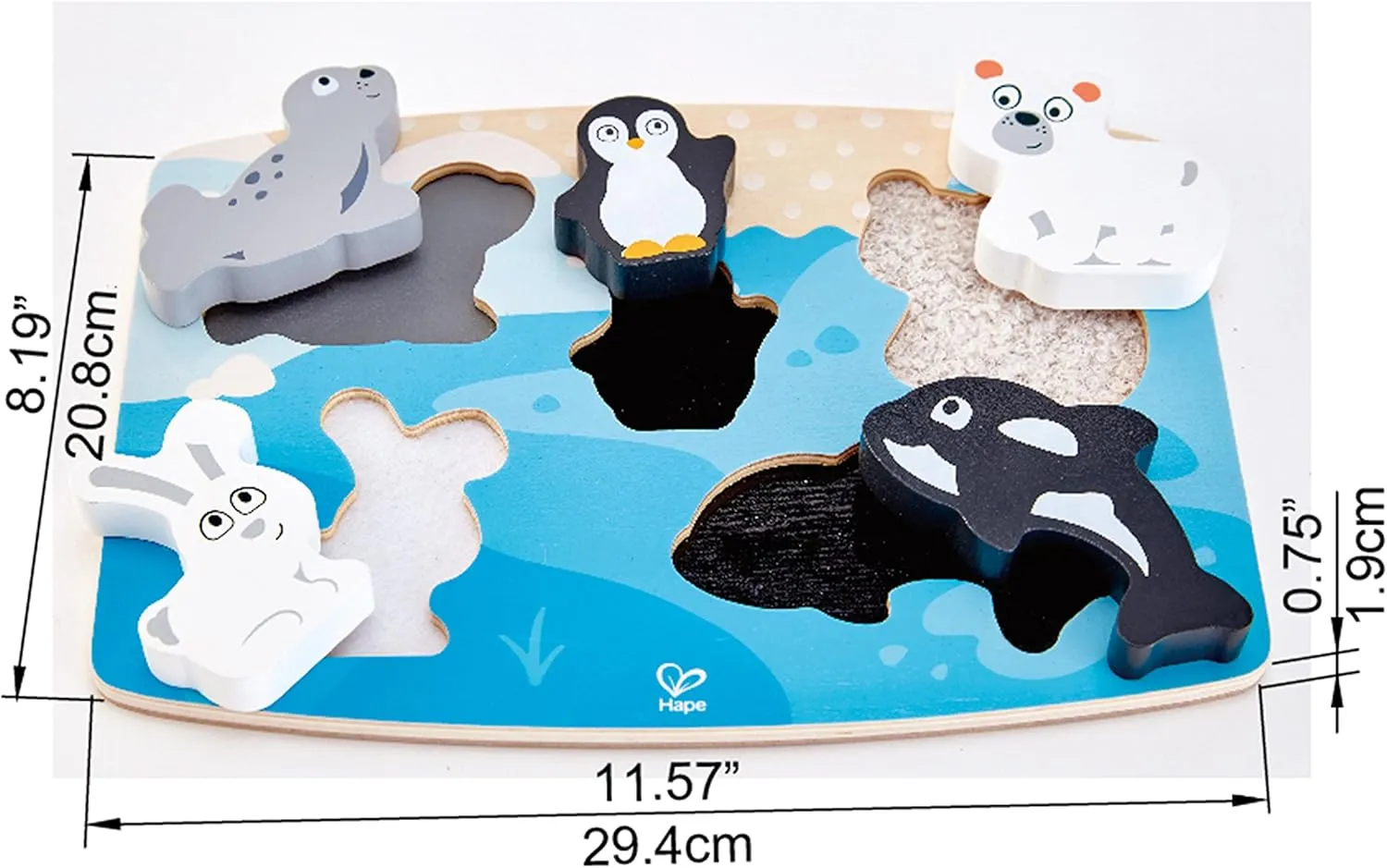 credential technician vertebrate juicy Animal Tactile Puzzle Game, Multicolor Hape Polar 