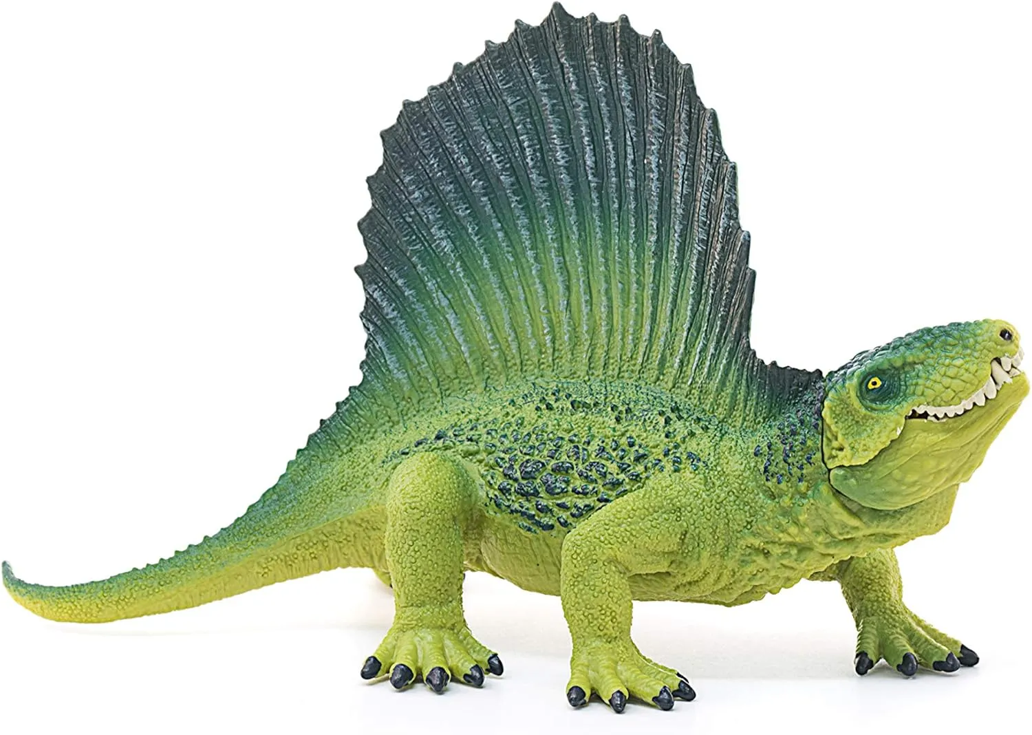 Dinosaur Figurines for Boys and Girls$ Dimetrodon Toy Figurine$ Green$ Ages 4  Schleich Dinosaurs$ arrogant rotate feud orleans pilot Realistic 