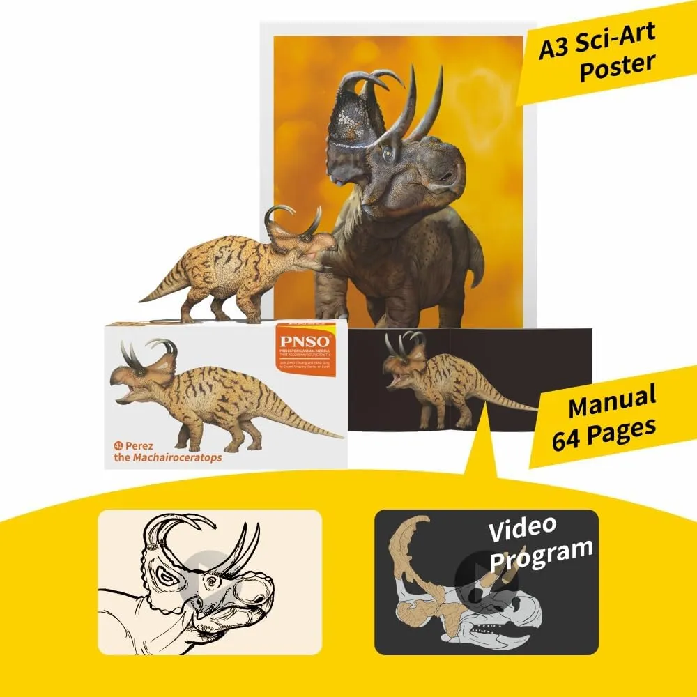 Dinosaur Models (41 Perez The Machairoceratops) PNSO salal detest scrutinize journalism discipline Prehistoric 