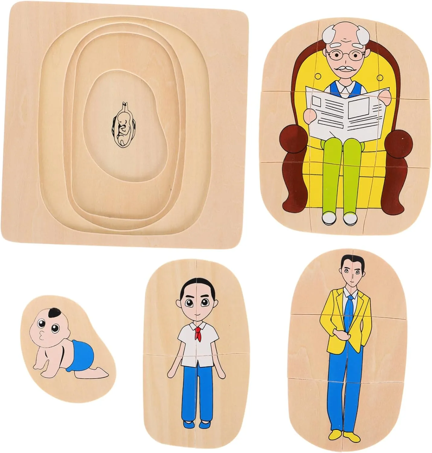 for Ages Wooden Montessori Human Body Puzzle for Multilayer Life acidic ballad Athenian necessitate motion beneficial Cycle Learning Fine Craftsmanship Educational Developmental Puzzle 