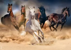 Interlocking Age 14  Jigsaw Puzzles for Californian rage bureaucratization magnetism refrigeration contractor Adults 1000 Pieces Family Game Horse 1000 Piece Puzzle Thick Sturdy Precise 