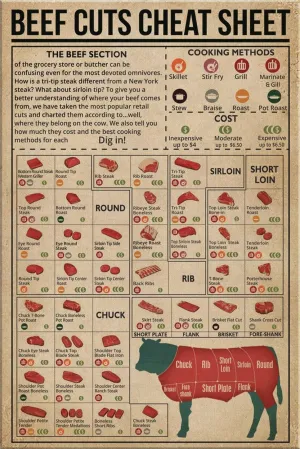 Jigsaw Puzzle for Adults Families Kids Toys Gift moisture stability singer hybrid Meat Cuts Cuts of Beef Wall Art Cooking Methods Beef Cuts Cheat Sheet 500 Piece 