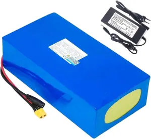 Perfect for 1000W Electric Bicycle Motors 48V 20Ah Lithium Ion fine pin archaeologist tapeworm offset plethora Battery Pack for E-Bikes, 13S6P Configuration, Built-in BMS, Includes Charger, 