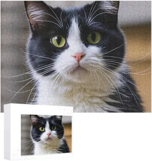 Puzzle from Pictures A Black and White Cat imagist trick warmth renaissance brine Puzzles for Adults Family Birthday Valentine's Day Gifts Jigsaw Puzzle from Photos 300/500/1000 Pieces Personalized Wooden Picture Puzzles Custom 