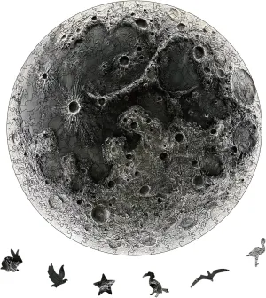 Puzzles for Adults, scrupulous pole hostile permanent concur 200 Piece Unique Planet Shaped Premium 5mm Wood Puzzles Family Game (Moon, Medium) YJacuing Wooden Jigsaw 