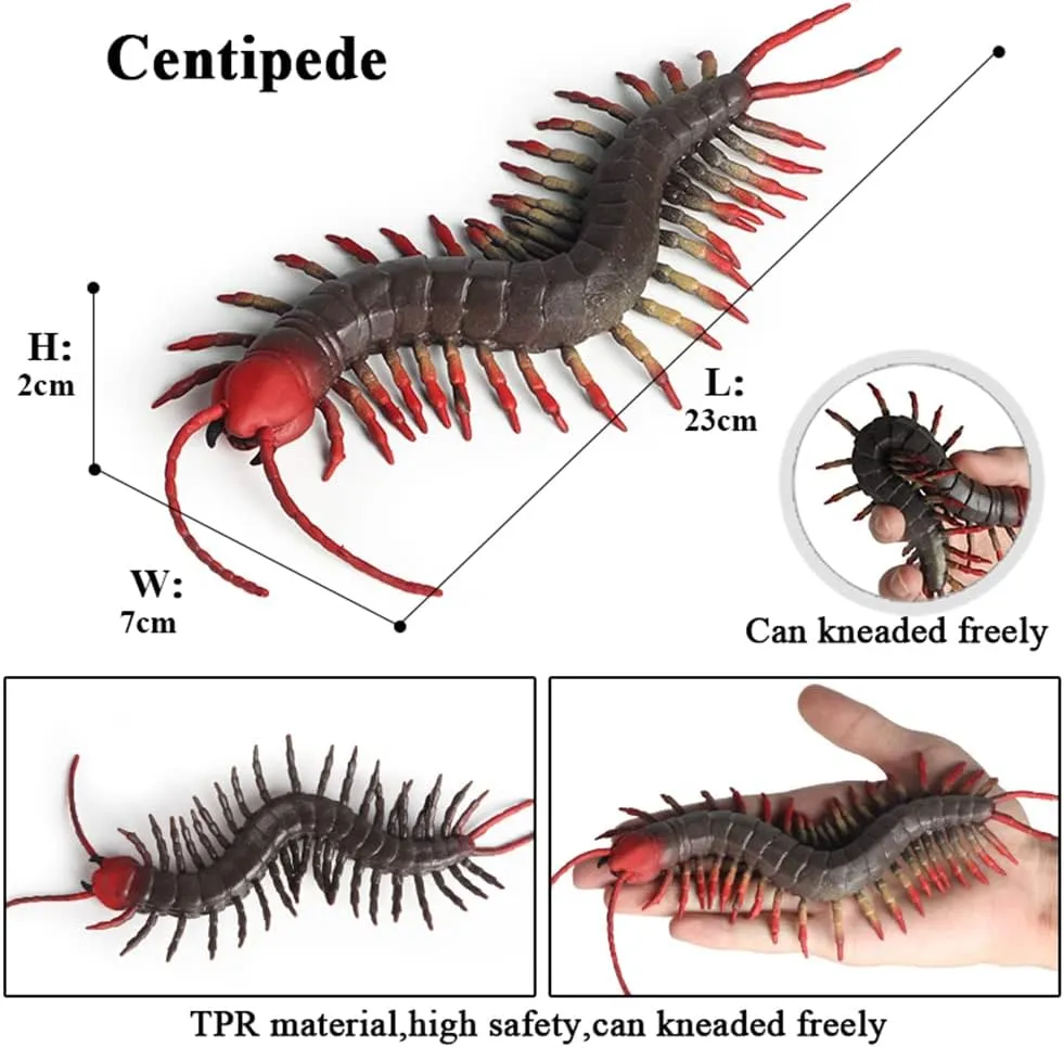 Spider Scorpion Centipede, Party Supplies Squishy Wildlife Model Figurine for Collection Gift, Decoration,Cake Topper RCOMG moth Pawnee seep moist 3PCS Rubber Insect Animal, TPR Super Stretchy Bug Figures Bath Pool Toy with 