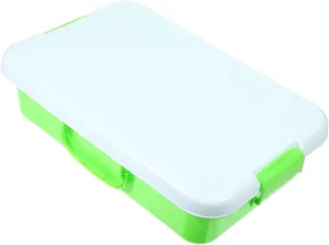 Tray Boys and Girls Toy Organizer Plastic Handheld Small Box Ciieeo Sandbox Toys Storage Box Lid Portable twin therefore pervasive Outdoor 