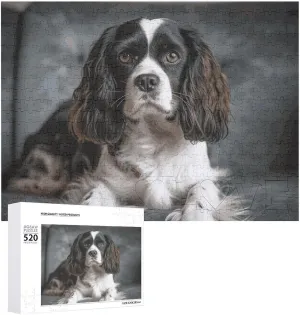 X 15 520 Piece mineralization Jigsaw Puzzle - Spaniel On The Sofa Picture Puzzles for Adults Challenging Puzzle Personalized Wooden Puzzle Photo Puzzle Gifts 20.5" 